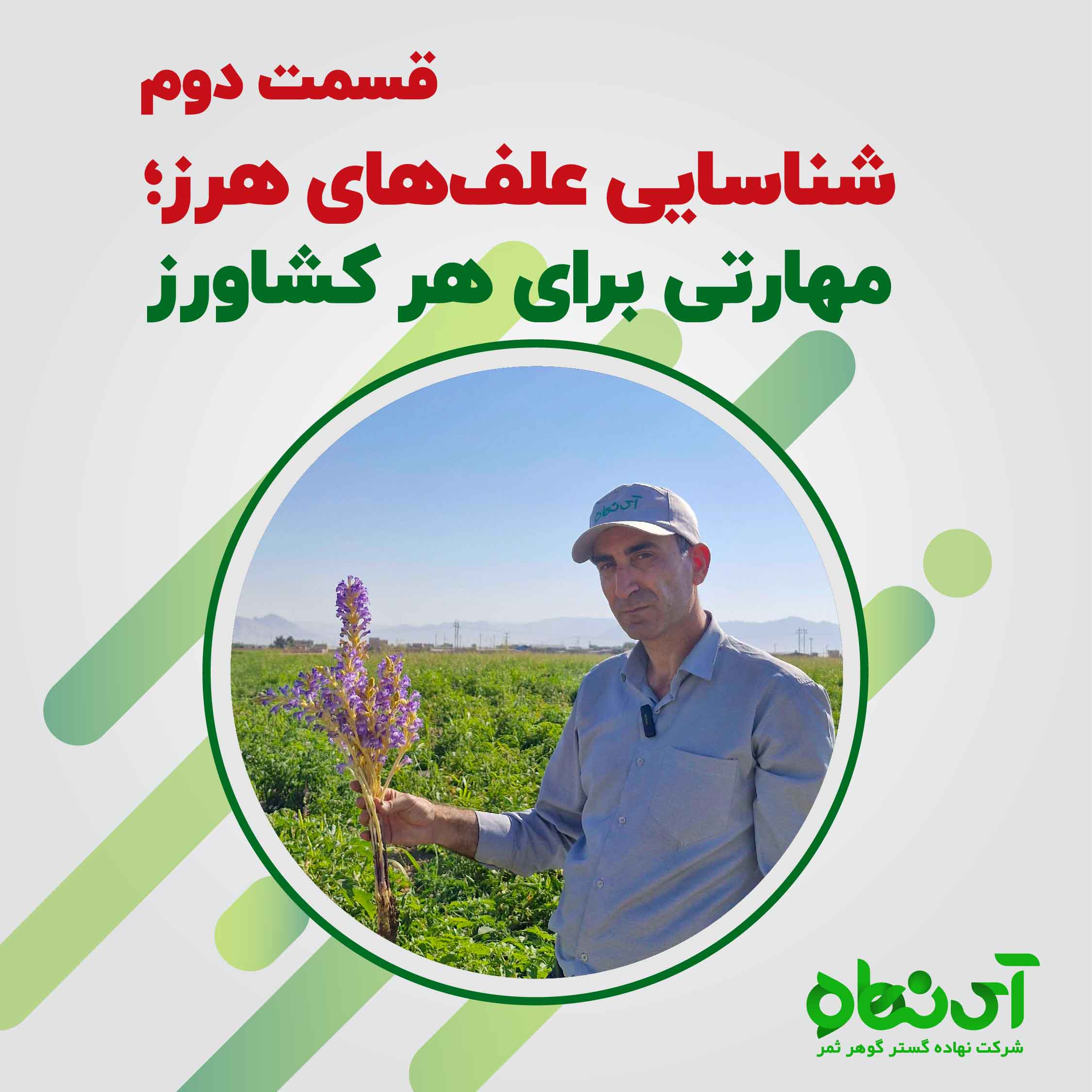 شناسایی علف‌های هرز؛ مهارتی برای هر کشاورز قسمت دوم